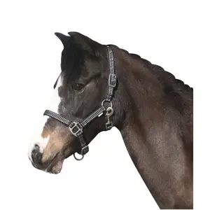 Καπίστρι για άλογο HorseGuard Rio image-0