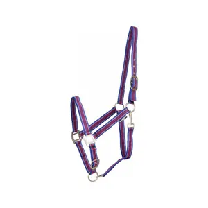 Licol pour shetland HorseGuard Rio image-0