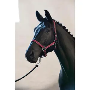 Ogłowie dla konia HorseGuard Rio image-1