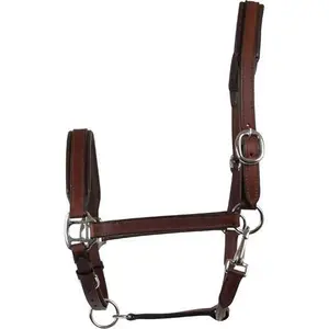 Leather halter for horses HorseGuard image-0
