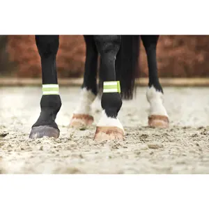 Βραχιολάκι HorseGuard Reflex image-2