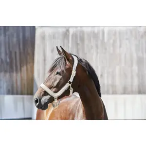 Cabezada Cuadra anatómico HorseGuard image-0
