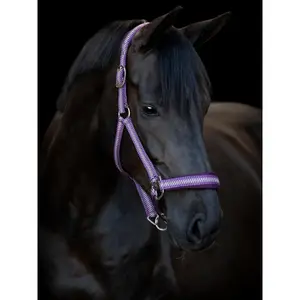 Cabresto para cavalos HorseGuard Cole Halter image-1
