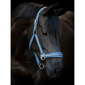 Cabresto de nylon para cavalos HorseGuard Cole image-1