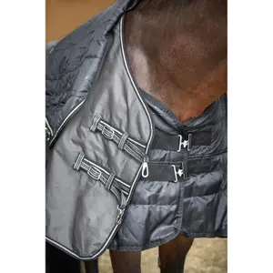 Outdoor-Decke für Pferde HorseGuard 300 g image-2