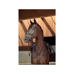 Horse Reins HorseGuard image-1