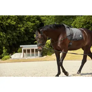 Redini per cavalli in cuoio a triangolo HorseGuard image-0