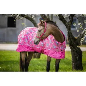 Derka dla kucyków zewnętrzna HorseGuard Josh 600D 200g image-1