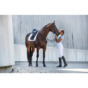Bridons équitation pour cheval HorseGuard Kava image-2