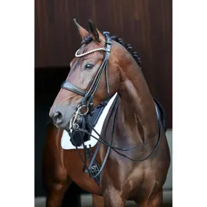Bridons équitation pour cheval HorseGuard Kava image-4