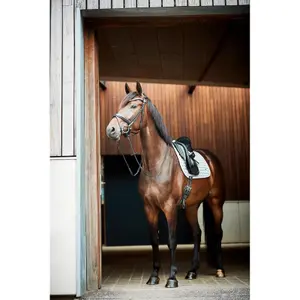 Dressage saddle pad  HorseGuard Kora 17" image-3