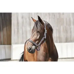Halter for horse HorseGuard Karo image-1