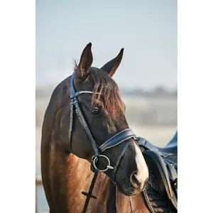 Hoofdstellen voor paarden HorseGuard Cryll 23.2 Crystal image-3