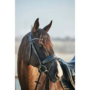Bridons équitation pour cheval HorseGuard Cryll 23.2 Crystal image-1