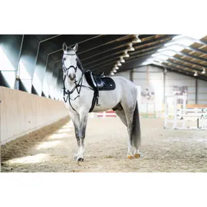 Siodło dla konia HorseGuard Kora image-2