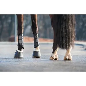 Dressuurbeschermers voor paarden HorseGuard Lux image-1