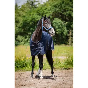 Outdoor  Blanket HorseGuard Landon 1200D 100g image-2