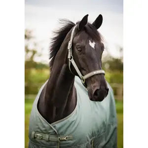Outdoor  Blanket HorseGuard Landon 1200D 100g image-3