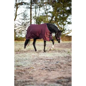 Decke für den Außenbereich für Pferde HorseGuard Landon 1200D 100g image-3