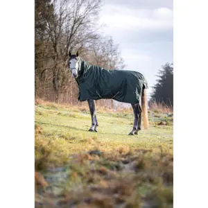 Manta para cavalos ao ar livre HorseGuard Lynn 1200D Combo 400g image-1