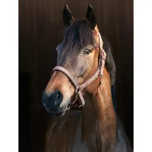 Pferdehalfter HorseGuard Lex image-2