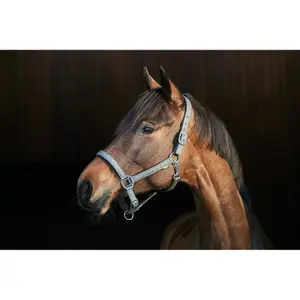 Pferdehalfter HorseGuard Lex image-1