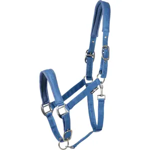 Cabresto para cavalos HorseGuard Diya 2.0 image-0