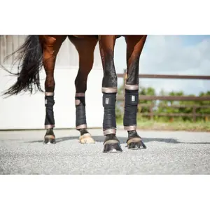 Λωρίδες πόλο για άλογα HorseGuard Marissa image-1