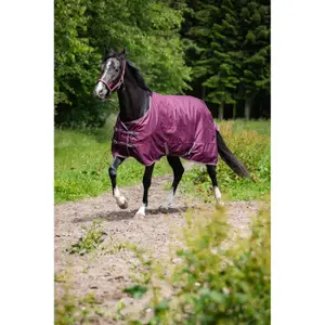 50490050107-outdoor-decke-fur-pferde-horseguard-landon-1200d-0g-italian-plum