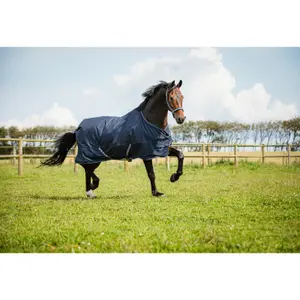 Outdoor  Blanket HorseGuard Landon 1200D 0g image-6