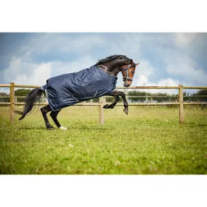 Outdoor  Blanket HorseGuard Landon 1200D 0g image-4