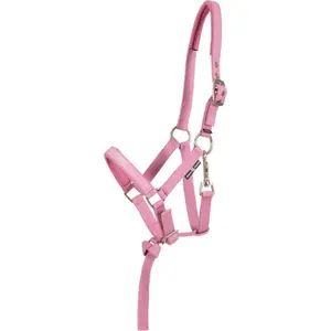 Cabresto para potros HorseGuard Malva image-0
