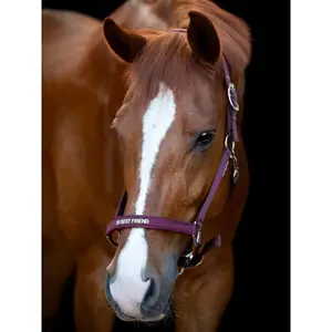 Cabresto para cavalos HorseGuard Malva halter image-1