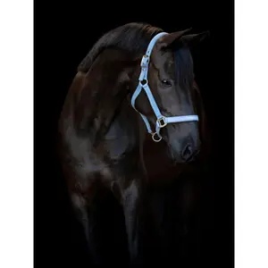 Καπίστρι για άλογο HorseGuard Malva halter image-1