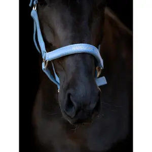 Καπίστρι για άλογο HorseGuard Malva halter image-2