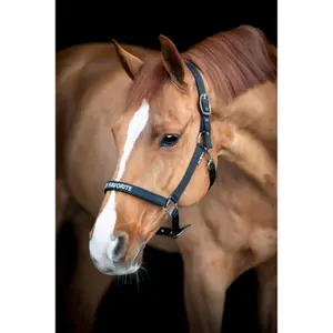 Halfter für Pferd HorseGuard Malva image-1