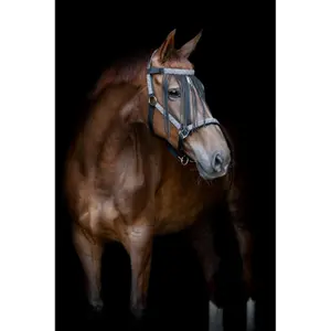 Anti-vliegband voor paarden HorseGuard Madison image-1