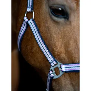 Cabresto para cavalos HorseGuard Mascha image-2