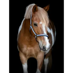 Cabresto para cavalos HorseGuard Mascha image-1