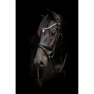 Trense HorseGuard EMI 24.1 image-1