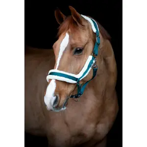 Halfter für Pferd Pelz HorseGuard Anatomic image-1