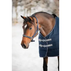 Halfter für Pferd HorseGuard Sandra image-1