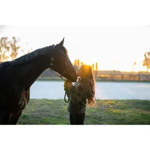 Leer halster voor paard HorseGuard Sabine image-5