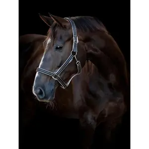 Καπίστρι για άλογο HorseGuard Taro image-1