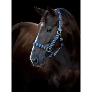 Halter for horse HorseGuard Taro image-1