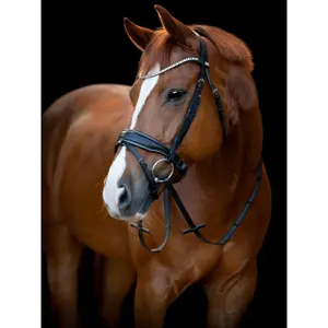 Hippisch hoofdstel met in te stellen neusriem HorseGuard Cryll 25.1 image-1