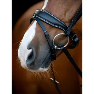 Hippisch hoofdstel met in te stellen neusriem HorseGuard Cryll 25.1 image-2