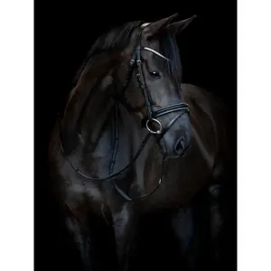 Σέσουλα ιππασίας με συνδυασμένη μασέλα HorseGuard Emi 25.1 image-0