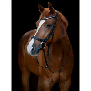 Ανατομικό χαλινάρι ιππασίας HorseGuard Tine image-1