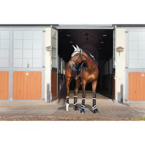 Πετάλια ιππασίας για παιδιά HorseGuard Fillis image-1